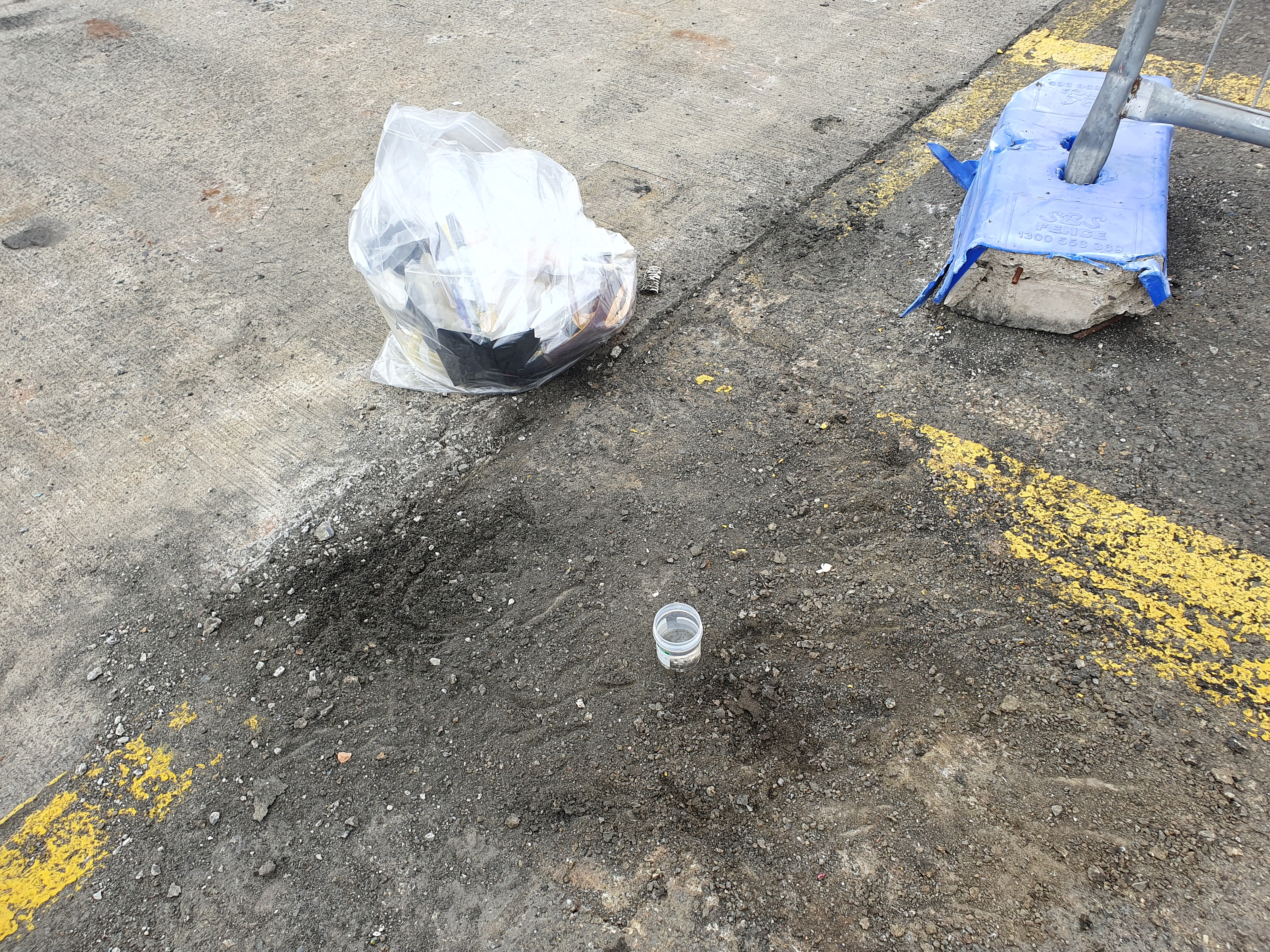 An area under the shipping container where the ants were found.