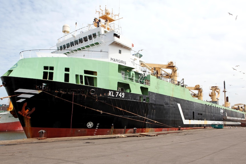 The super trawler, Margiris, in port.