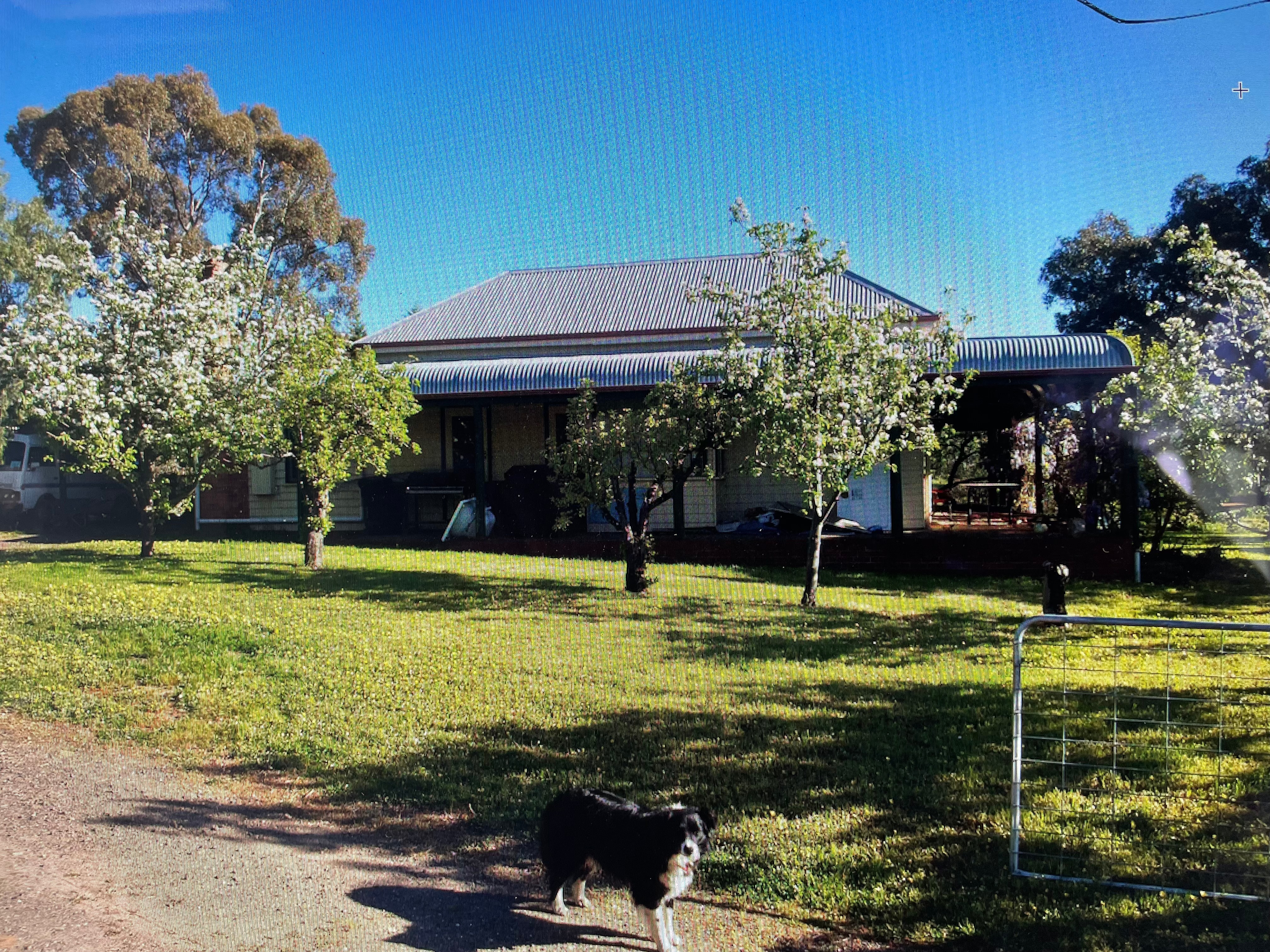 Casa térrea com telhado metálico e grama na frente com algumas árvores.