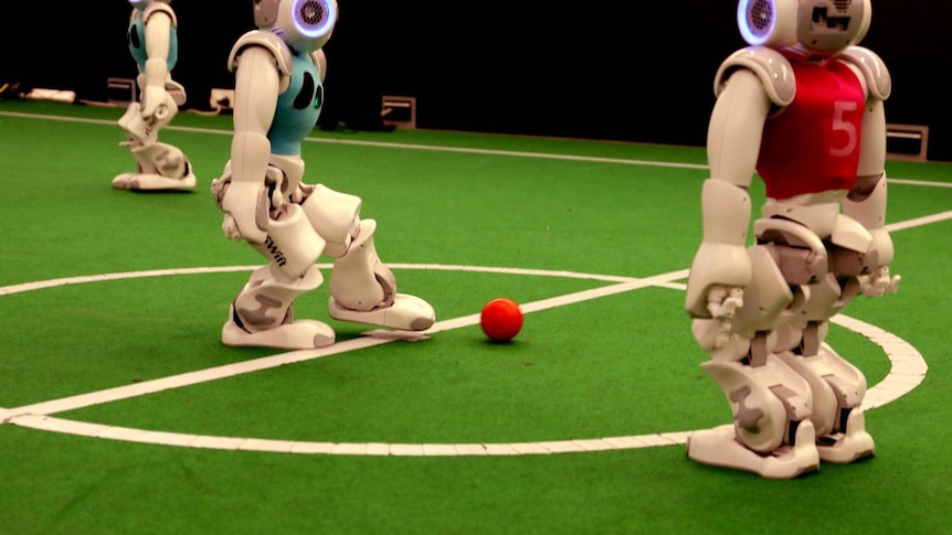 RoboCup World Championships: UNSW's robots during a recent training session