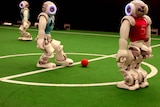 RoboCup World Championships: UNSW's robots during a recent training session