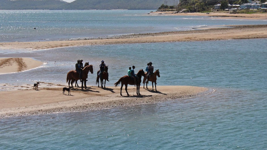 Children ride horses on a beach on Palm Island