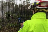 RFS volunteer holds thermal camera up to a hotspot in the Lindfield Park fireground