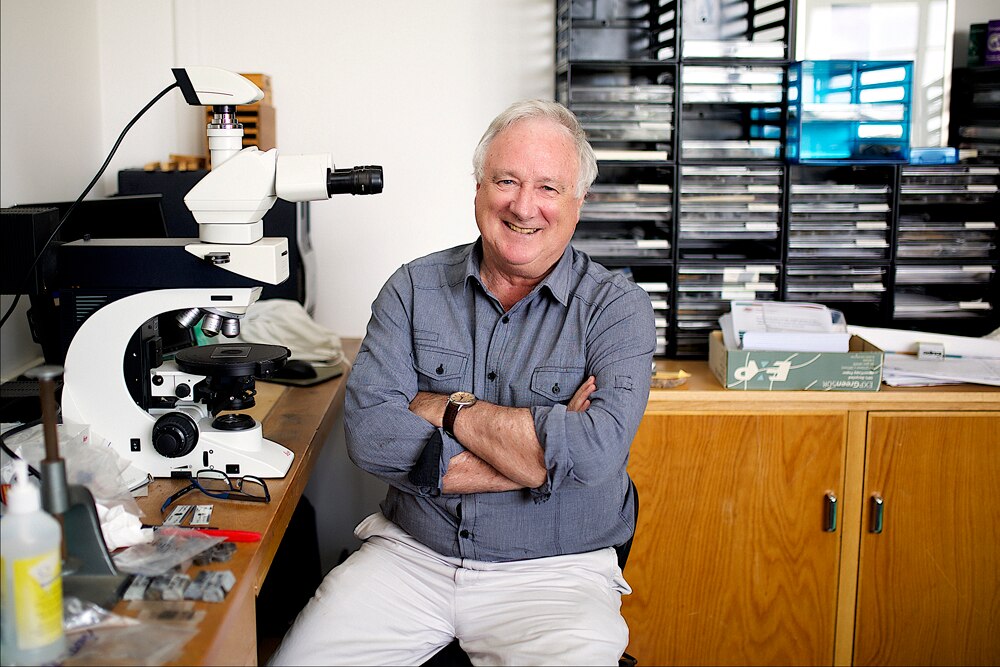 Emergency doctor who treated Port Arthur victims among Tasmanian