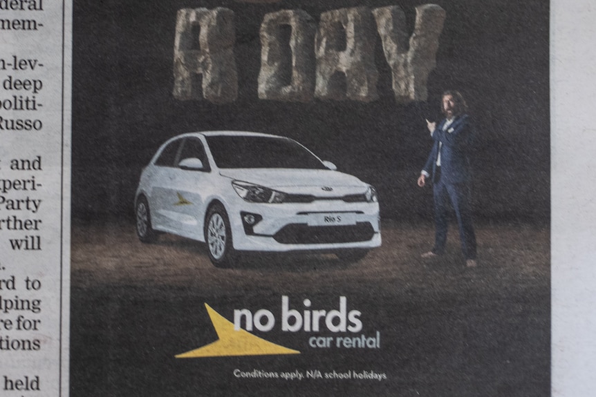 Bayswater Car Rental newspaper ad featuring no birds brand name