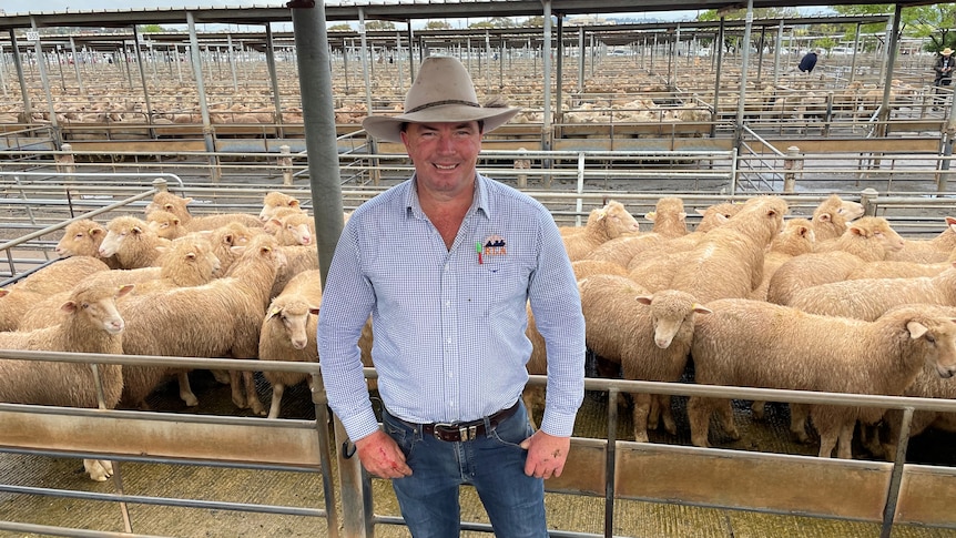 Wagga Wagga agent James Tierney standing in front of a pen of new season lambs at the Wagga Wagga saleyards.