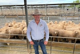 Wagga Wagga agent James Tierney standing in front of a pen of new season lambs at the Wagga Wagga saleyards.