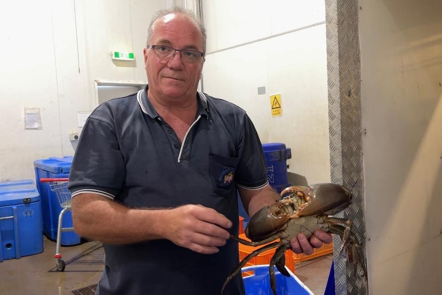 A man holds a large mud crab in a store room.