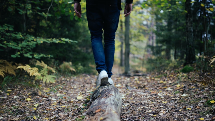 A person's feet walk along a log on a leaf-strewn forest trail.