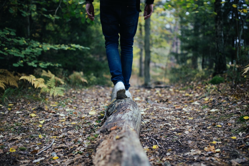 A person's feet walk along a log on a leaf-strewn forest trail.