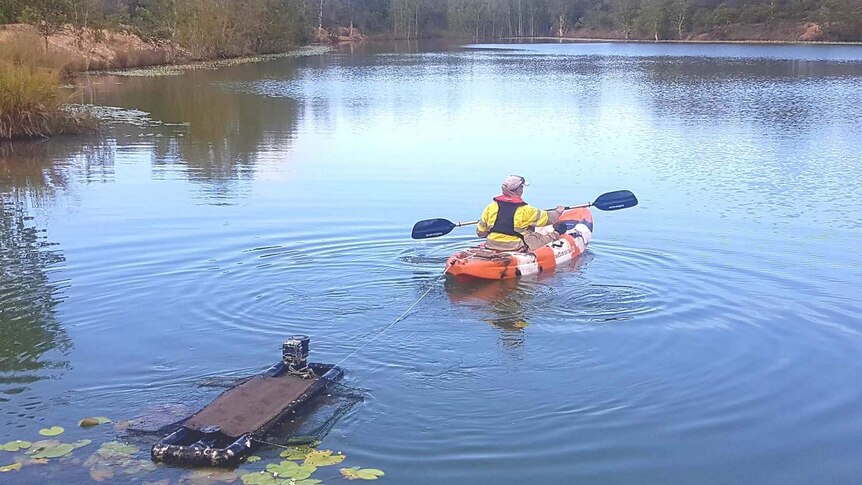 A council worker paddles a kayak surveys a waterway in the region for the alien turtles.