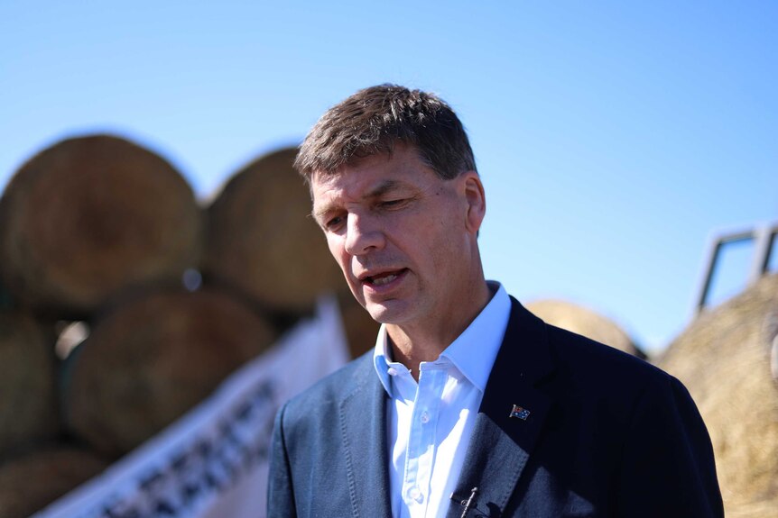 Energy Minister Angus Taylor speaks to the media while standing in front of bales of hay. His Australian flag pin is in place.