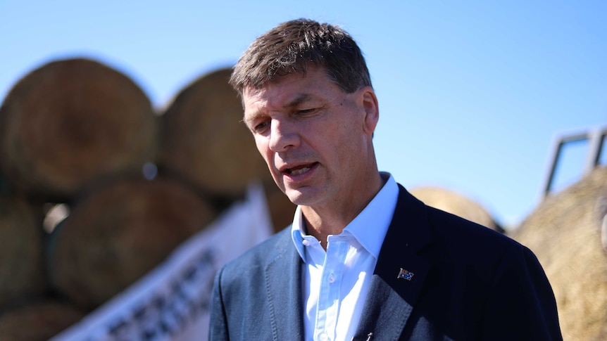 Energy Minister Angus Taylor speaks to the media while standing in front of bales of hay. His Australian flag pin is in place.