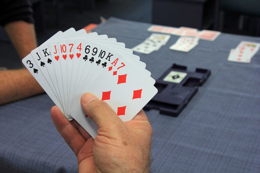 A hand of cards at the start of a game of bridge