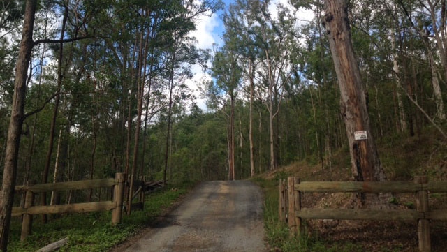 Driveway of property at Guanaba on Qld's Gold Coast hinterland where police allegedly found $4m in opals