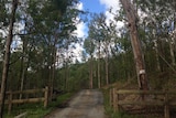 Driveway of property at Guanaba on Qld's Gold Coast hinterland where police allegedly found $4m in opals