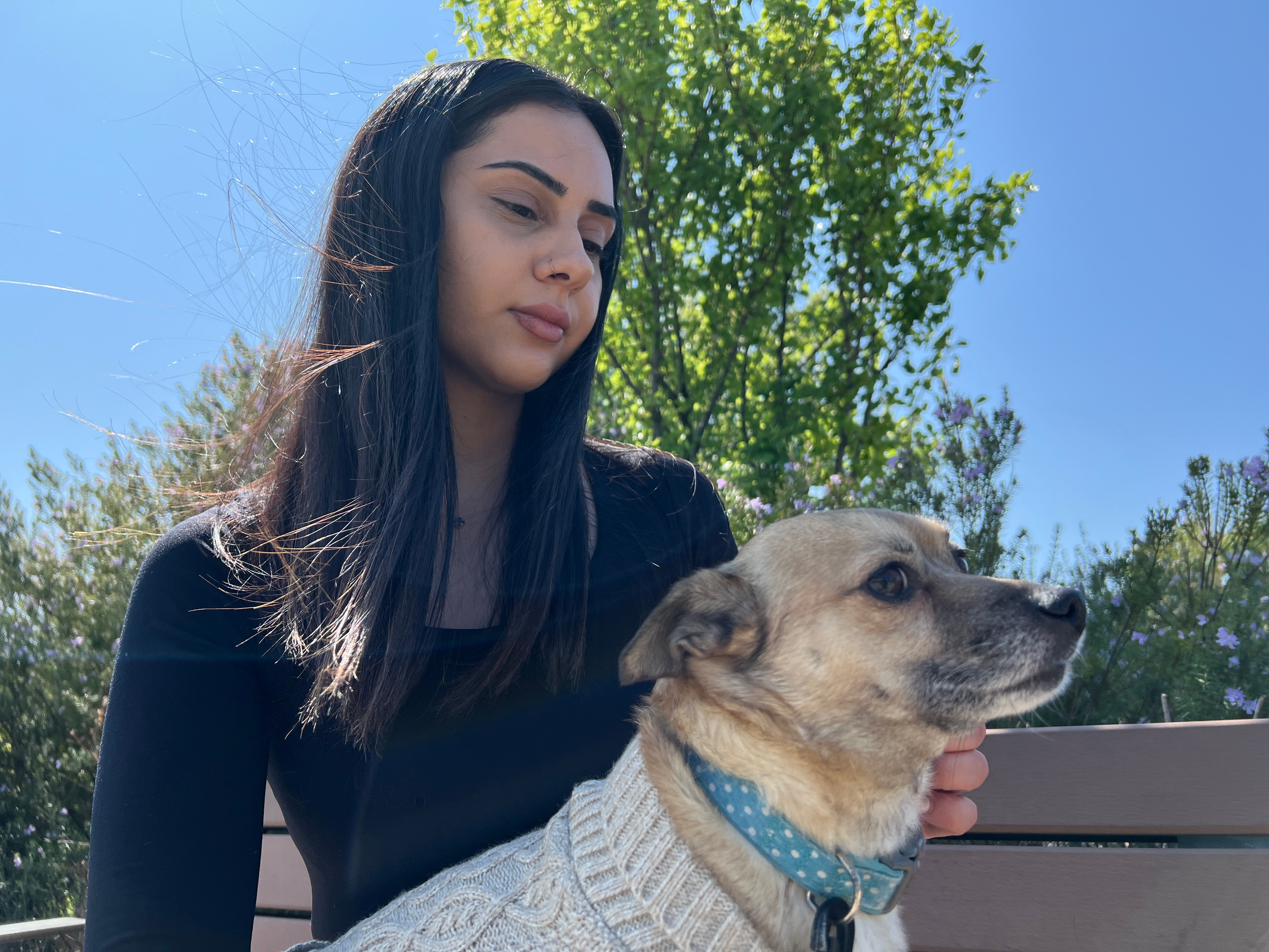 Cigdem Aslan's daughter appears serious and concerned, sitting on a bench with a small dog.