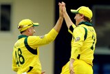 Mike Hussey and George Bailey celebrate a wicket.