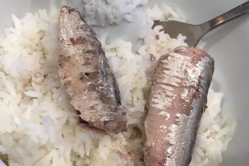 Nasi dan sardines