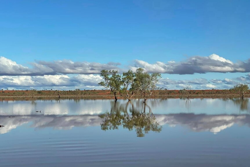 The blue sky, white clouds and a couple of trees are reflected perfectly in a dam.