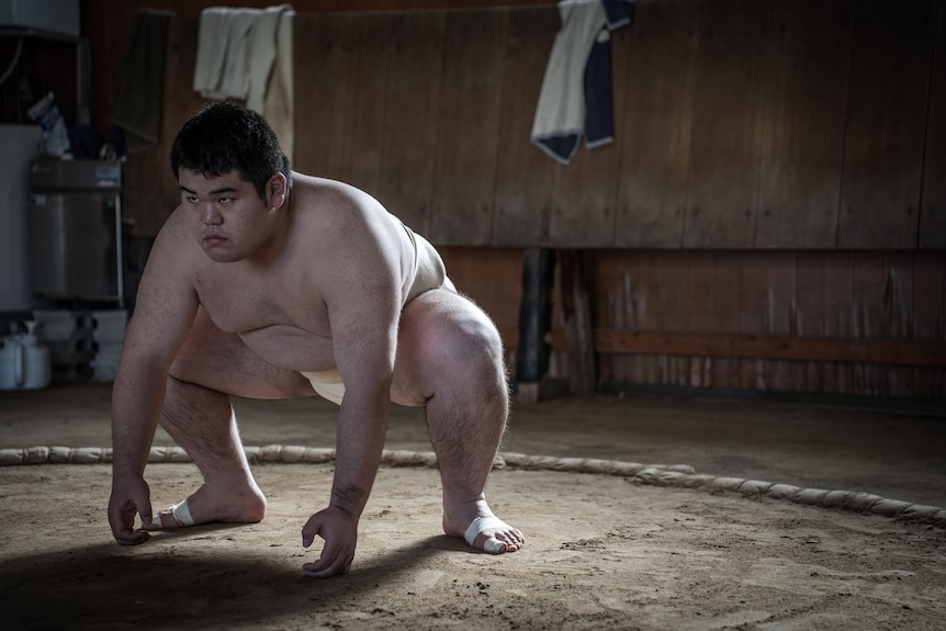 A wrestler crouched in the sumo ring