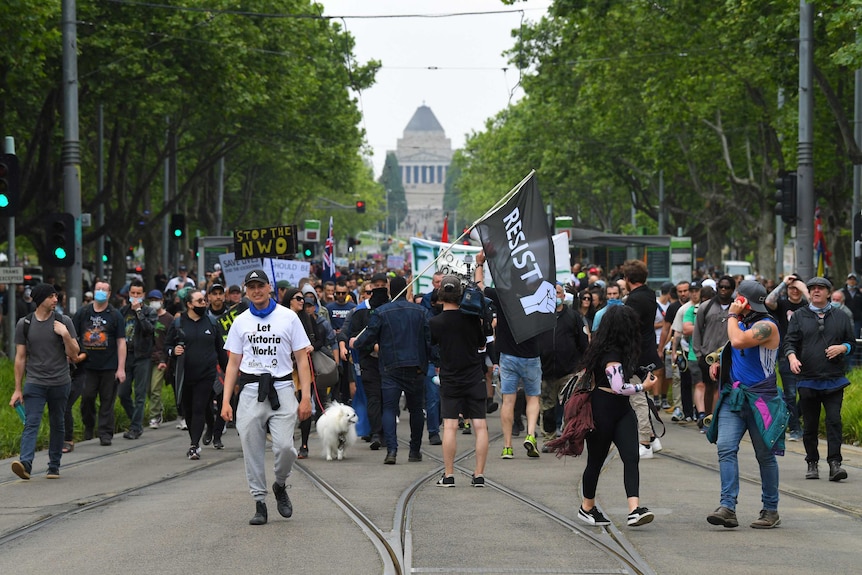 Hundreds of people are seen walking, some with flags or placards, on a tree-lined street with shrine behind.