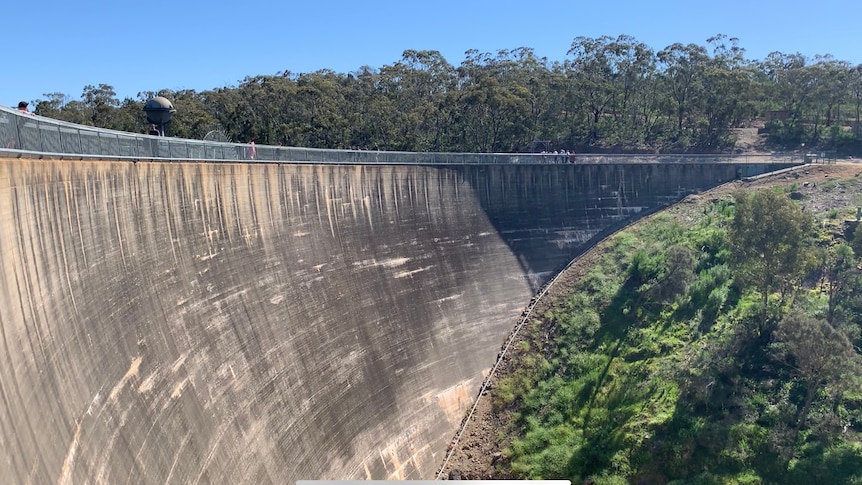 A concrete dam wall extends into the distance with trees at the bottom and on the horizon