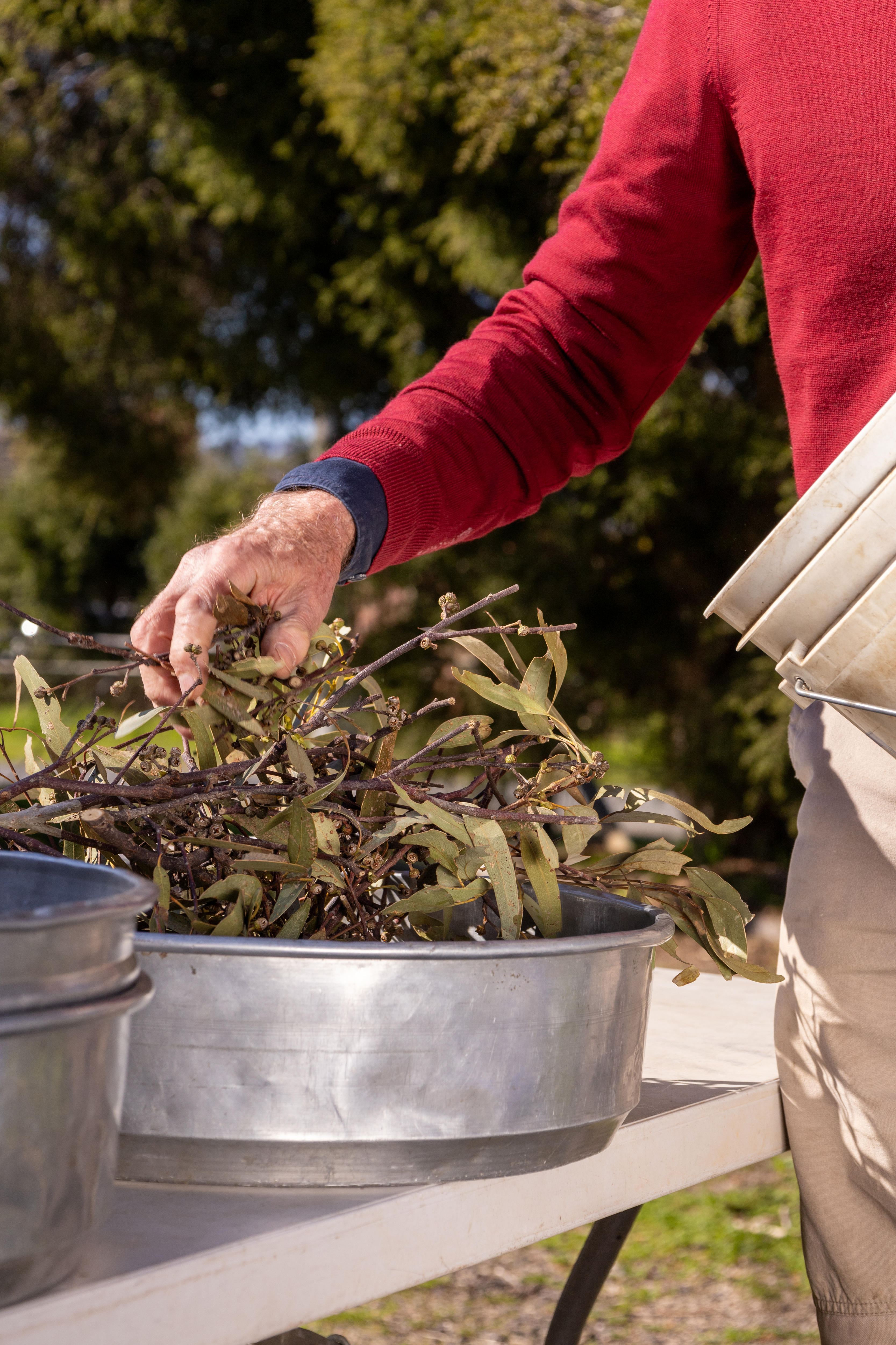 Human hands move tree branches into a bucket 