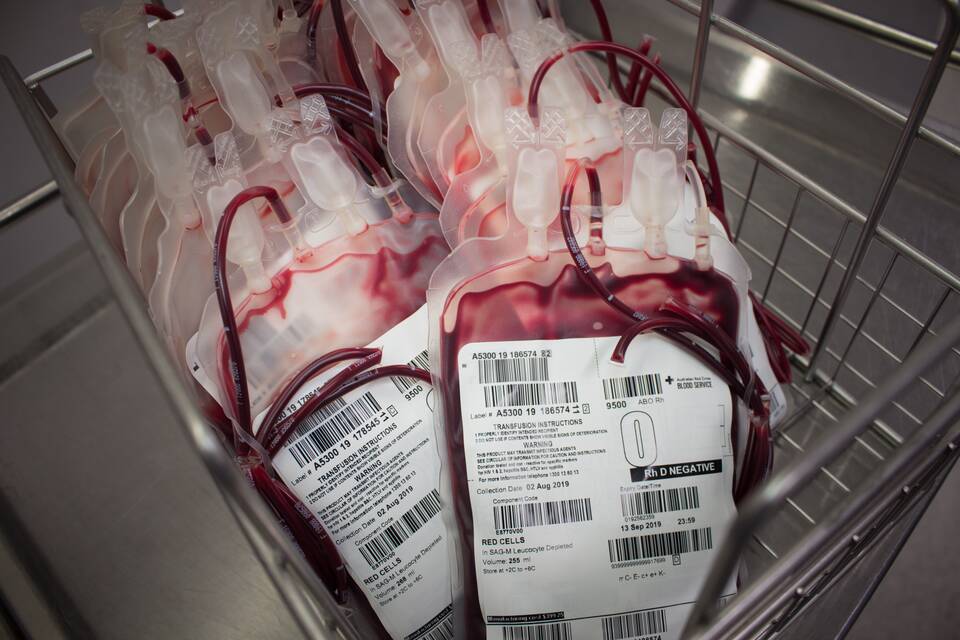 Blood donations stored in medical bags.