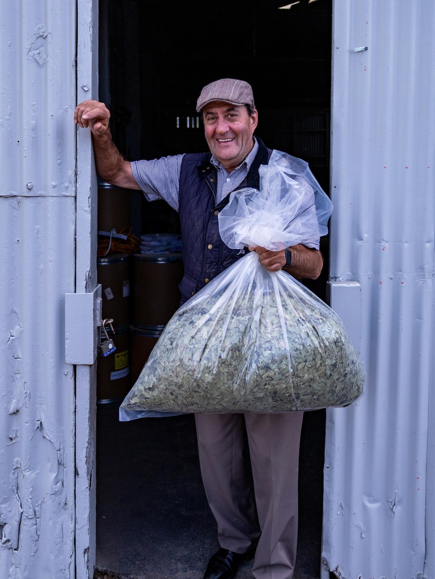 A man stands in the doorway of a shed holding a plastic bag filled with leaves 