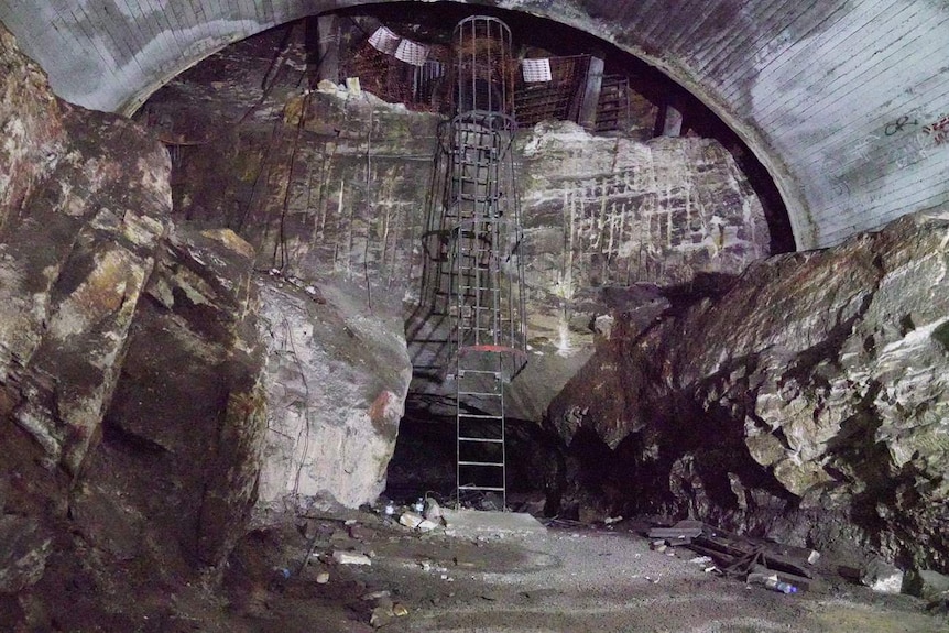 A large tunnel, with a ladder at one side of it.