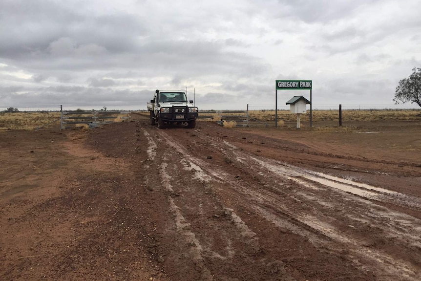 A truck on a muddy unsealed road next to a letterbox.