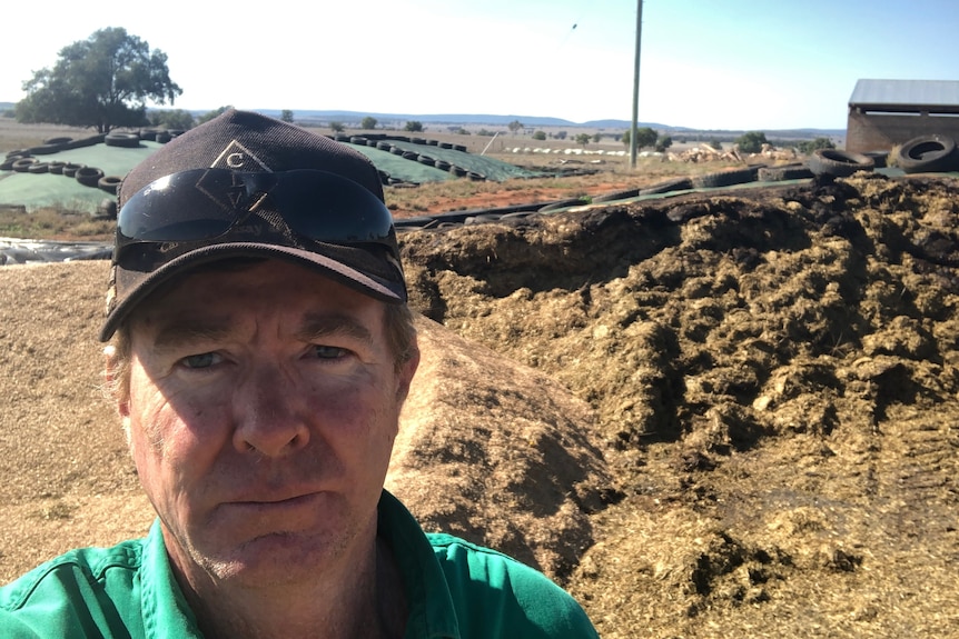 A selfie of a man in a green work shirt in a paddock, wearing a hat and glasses.