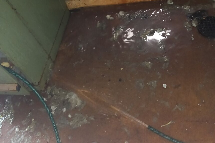 Raw sewage water backed up on a floor inside.