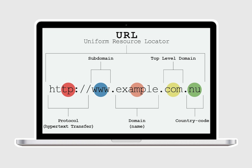 A graphic showing different components of a URL.