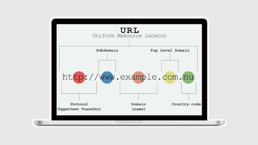 A graphic showing different components of a URL.