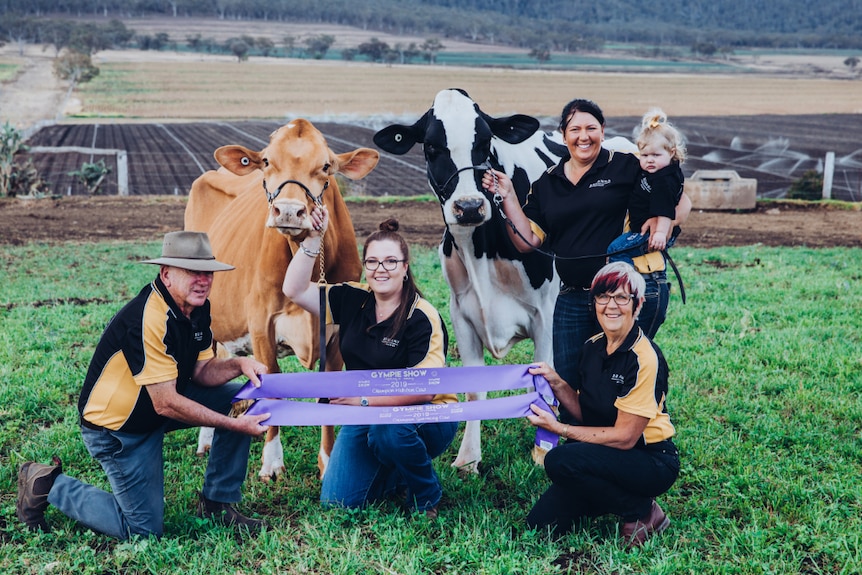 The family in a field with two prize winning cows.