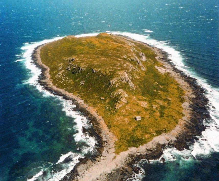 Тасмания остров на