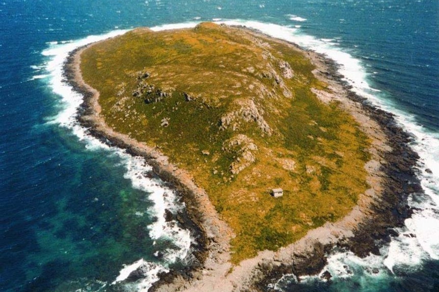 Ninth Island off Tasmania's north-east coast.