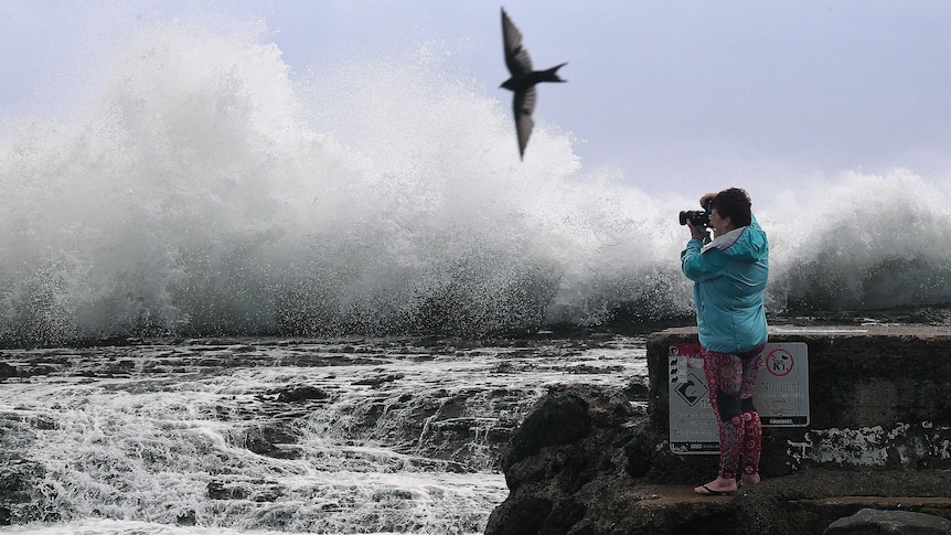A woman takes photographs of large surf pounding on rocks at Snapper Rocks.