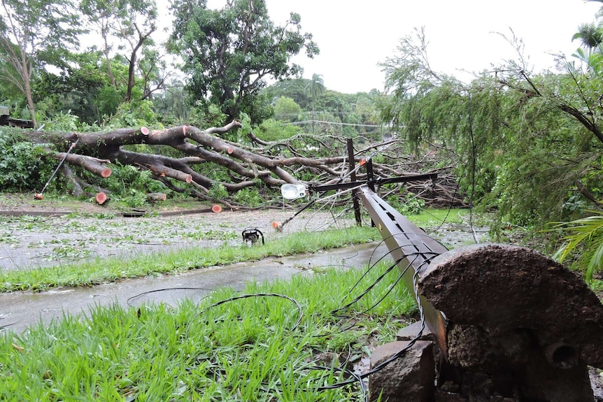 Collapsed power lines across a road.