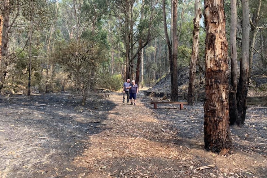 Two people standing at the end of a path surrounded by burnt bushland.