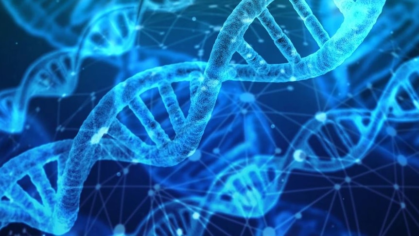 Blue computer graphic of DNA 