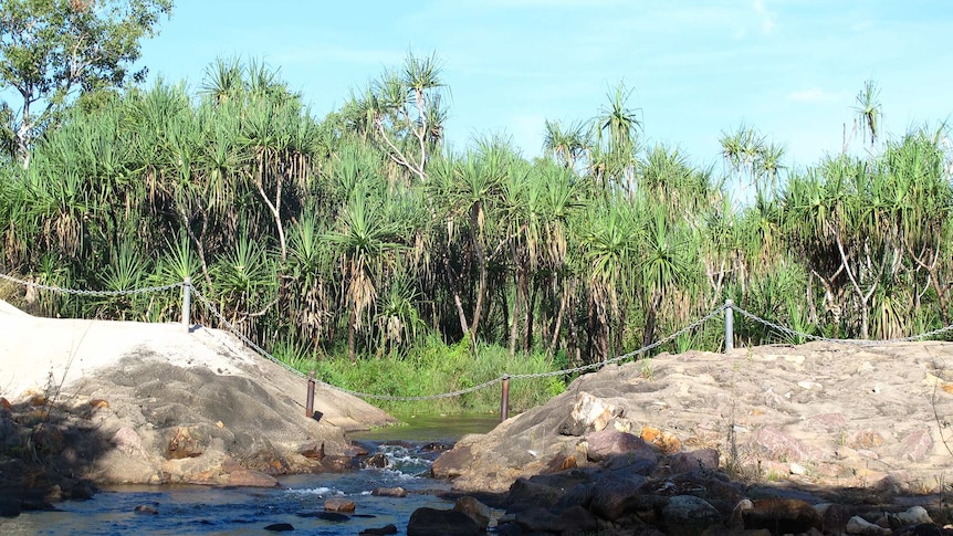 The start of Rapid Creek, where water flows off Darwin airport land.