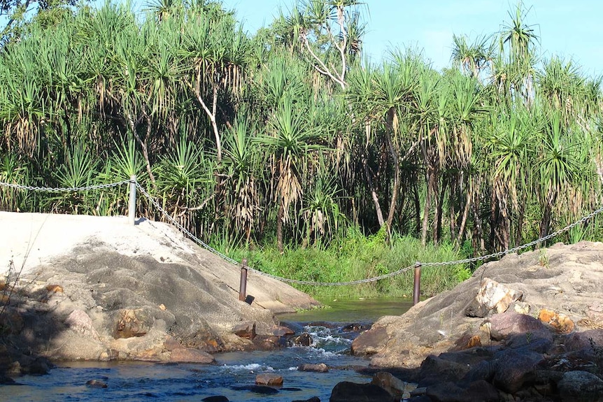 The start of Rapid Creek, where water flows off Darwin airport land.