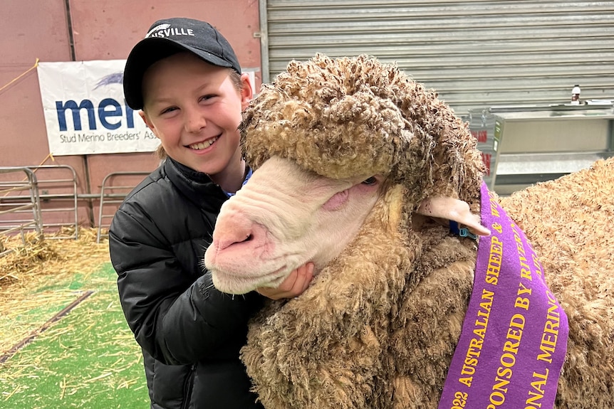 a young, smiling boy holds the rams large head 