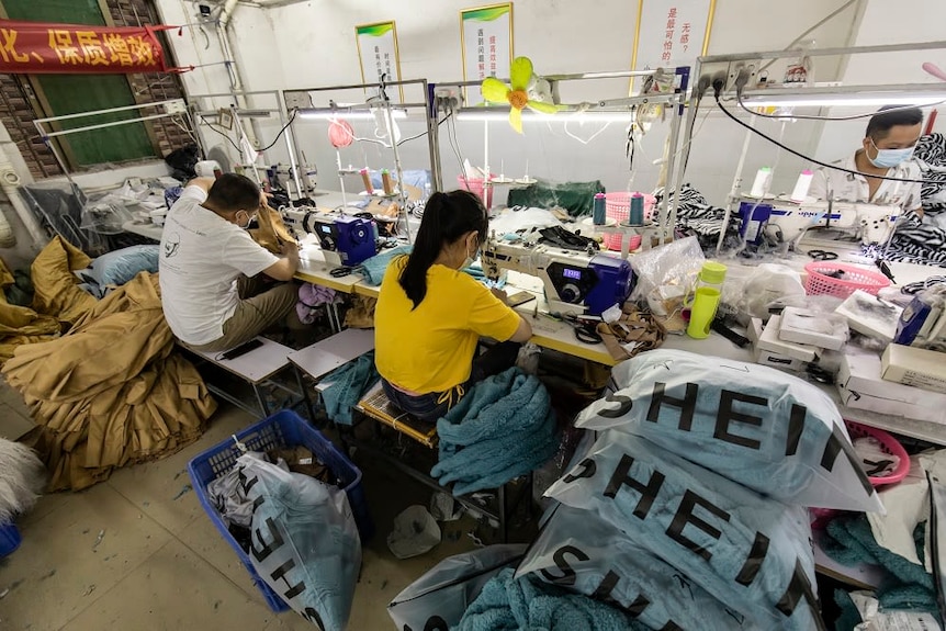 Public Eye investigators captured Shein workers sewing late into the night at a factory in Guangzhou, China.