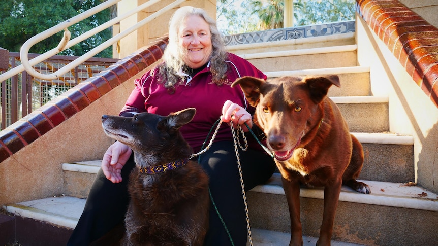 A woman smiles at her dogs. The dogs are brown kelpies. She loves them like family members. They sit on rotunda steps.