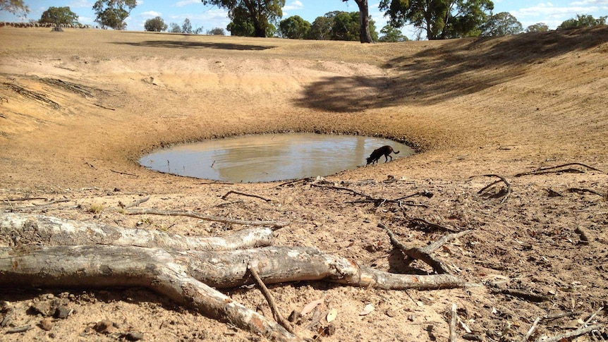 Dams in Victoria are quickly drying up.