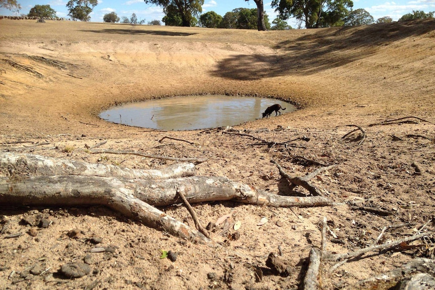 Dams in Victoria quickly drying up.